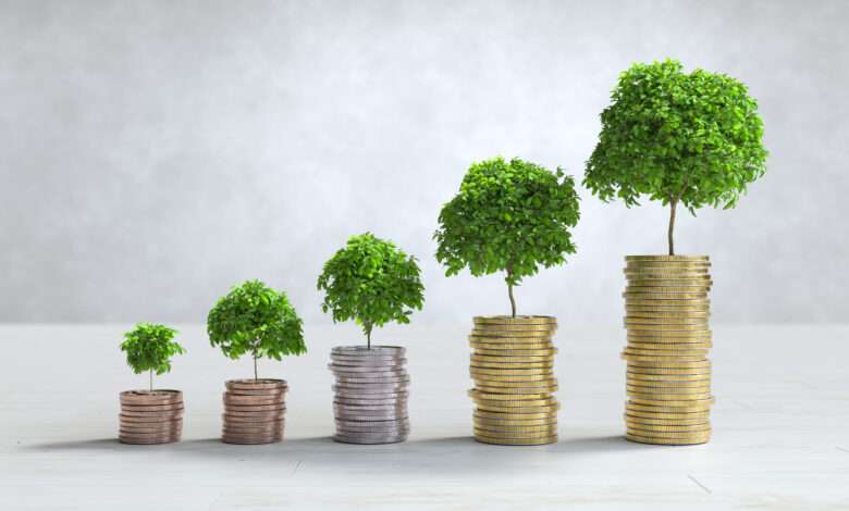 Piani Individuali di Risparmio (PIR)